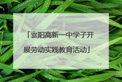 襄阳高新一中学子开展劳动实践教育活动