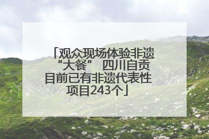 观众现场体验非遗“大餐” 四川自贡目前已有非遗代表性项目243个