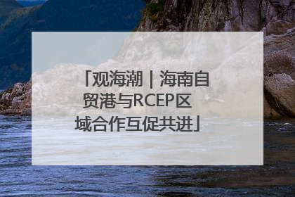 观海潮｜海南自贸港与RCEP区域合作互促共进