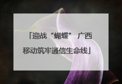 迎战“蝴蝶” 广西移动筑牢通信生命线