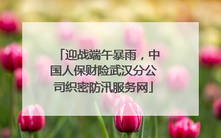 迎战端午暴雨，中国人保财险武汉分公司织密防汛服务网