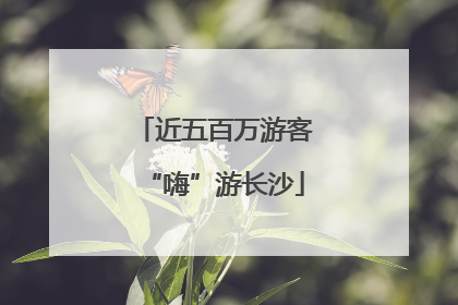近五百万游客“嗨”游长沙