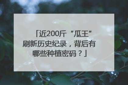 近200斤“瓜王”刷新历史纪录，背后有哪些种植密码？