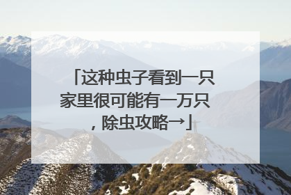 这种虫子看到一只家里很可能有一万只，除虫攻略→