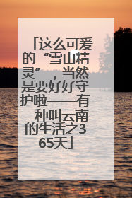 这么可爱的“雪山精灵”，当然是要好好守护啦——有一种叫云南的生活之365天