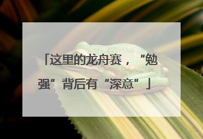这里的龙舟赛，“勉强”背后有“深意”