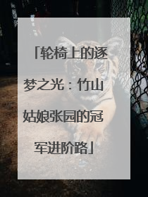 轮椅上的逐梦之光：竹山姑娘张园的冠军进阶路