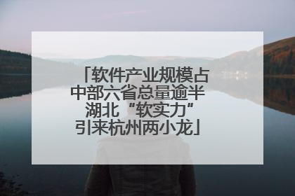 软件产业规模占中部六省总量逾半 湖北“软实力”引来杭州两小龙