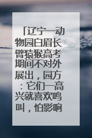 辽宁一动物园白眉长臂猿猴高考期间不对外展出，园方：它们一高兴就喜欢鸣叫，怕影响考试