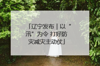 辽宁发布｜以“汛”为令 打好防灾减灾主动仗