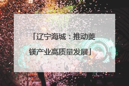 辽宁海城：推动菱镁产业高质量发展