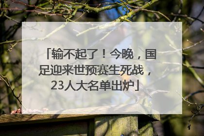 输不起了！今晚，国足迎来世预赛生死战，23人大名单出炉
