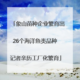象山苗种企业繁育出26个海洋鱼类品种 记者亲历工厂化繁育