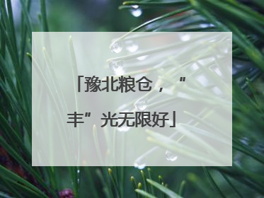 豫北粮仓，“丰”光无限好