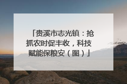贵溪市志光镇：抢抓农时促丰收，科技赋能保粮安（图）
