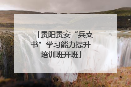 贵阳贵安“兵支书”学习能力提升培训班开班