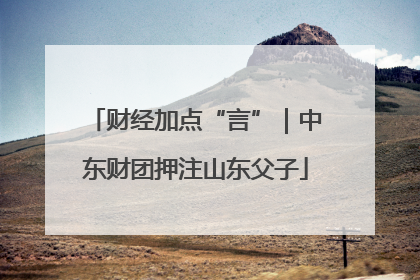 财经加点“言”｜中东财团押注山东父子