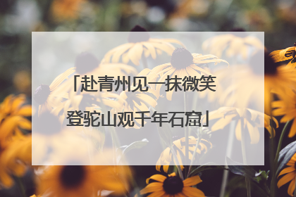 赴青州见一抹微笑 登驼山观千年石窟