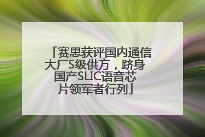赛思获评国内通信大厂S级供方，跻身国产SLIC语音芯片领军者行列