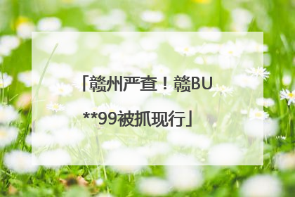 赣州严查！赣BU**99被抓现行