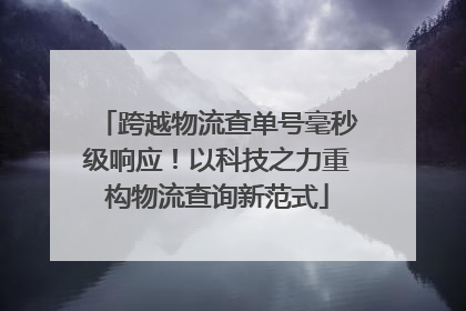 跨越物流查单号毫秒级响应！以科技之力重构物流查询新范式