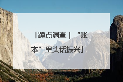 蹲点调查｜“账本”里头话振兴
