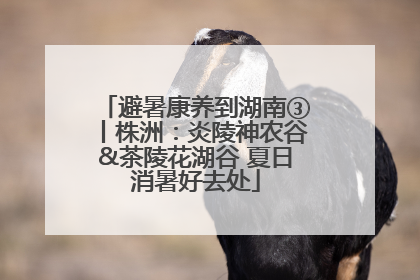 避暑康养到湖南③丨株洲：炎陵神农谷&茶陵花湖谷 夏日消暑好去处