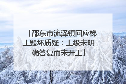 邵东市流泽镇回应梯土毁坏质疑：上级未明确答复而未开工
