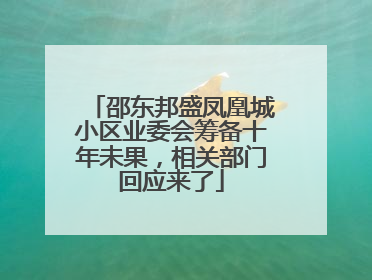 邵东邦盛凤凰城小区业委会筹备十年未果，相关部门回应来了