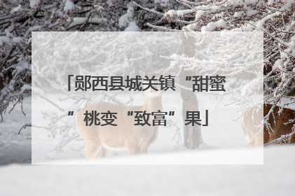 郧西县城关镇“甜蜜”桃变“致富”果