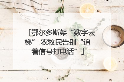 鄂尔多斯架“数字云梯” 农牧民告别“追着信号打电话”