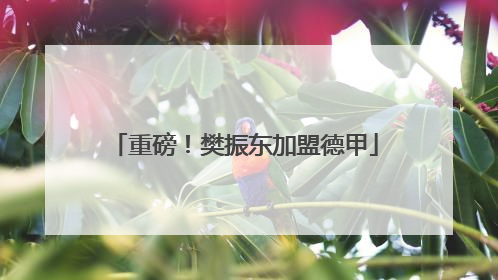 重磅！樊振东加盟德甲