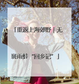 重返上海郊野｜无斑雨蛙“回乡记”