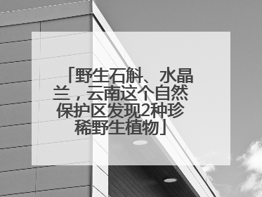野生石斛、水晶兰，云南这个自然保护区发现2种珍稀野生植物