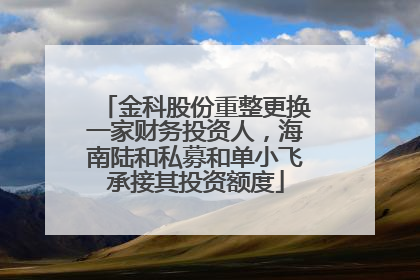 金科股份重整更换一家财务投资人，海南陆和私募和单小飞承接其投资额度