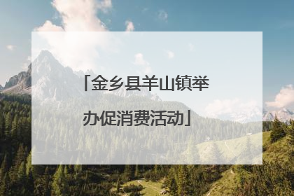 金乡县羊山镇举办促消费活动