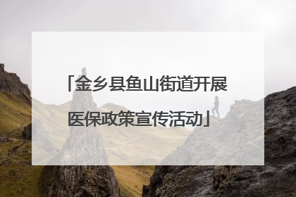金乡县鱼山街道开展医保政策宣传活动
