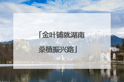金叶铺就湖南桑植振兴路