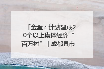金堂：计划建成20个以上集体经济“百万村”｜成都县市新城高质量发展