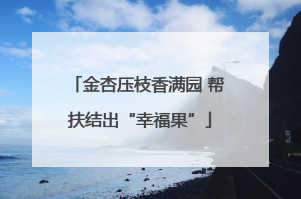 金杏压枝香满园 帮扶结出“幸福果”