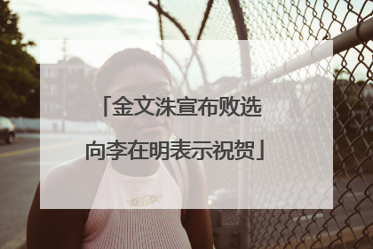 金文洙宣布败选 向李在明表示祝贺