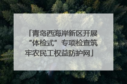 青岛西海岸新区开展“体检式”专项检查筑牢农民工权益防护网