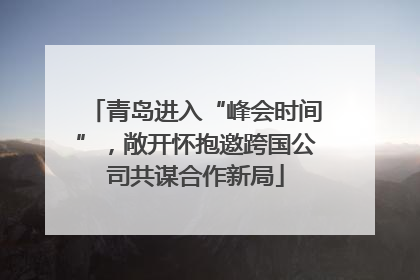 青岛进入“峰会时间”，敞开怀抱邀跨国公司共谋合作新局