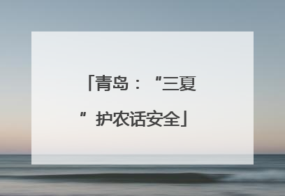 青岛：“三夏”护农话安全