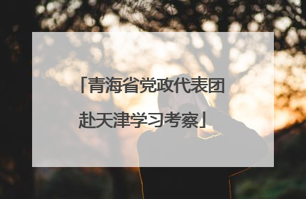 青海省党政代表团赴天津学习考察