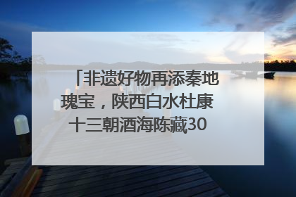 非遗好物再添秦地瑰宝，陕西白水杜康十三朝酒海陈藏30年别具一格