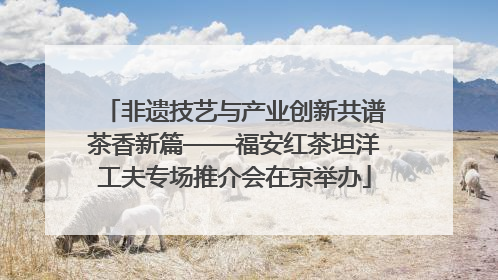 非遗技艺与产业创新共谱茶香新篇——福安红茶坦洋工夫专场推介会在京举办