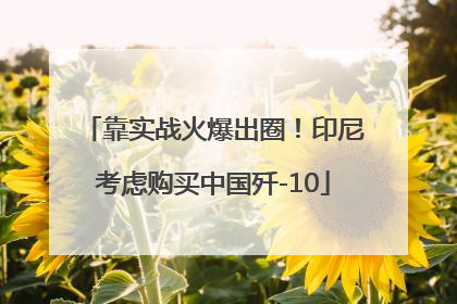 靠实战火爆出圈！印尼考虑购买中国歼-10