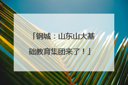钢城：山东山大基础教育集团来了！