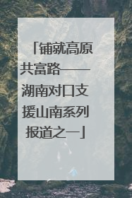 铺就高原共富路——湖南对口支援山南系列报道之一